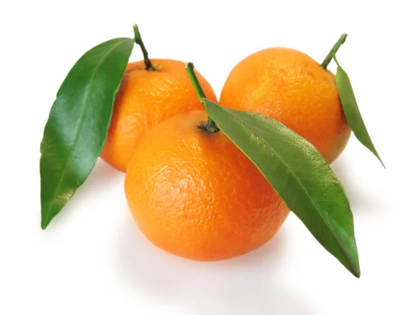 Three mandarins — Stock Photo, Image