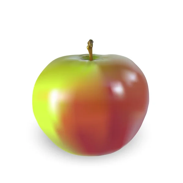 Красивое большое яблоко — стоковый вектор
