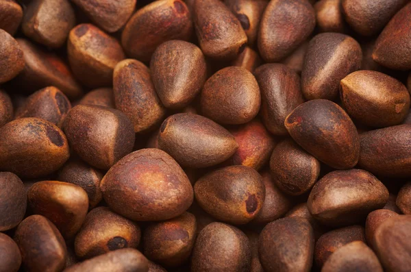 stock image Pine nuts