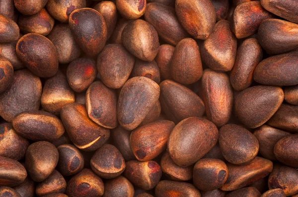 stock image Pine nuts