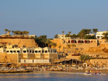 Beach at Sunset, Sharm El Sheikh, Egypt clipart