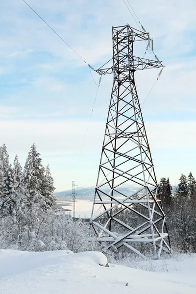 stock image High-voltage power transmission lines in the winter forest