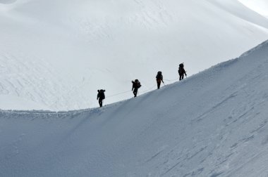 View of a group hiking on slope of high Alps mountains. clipart