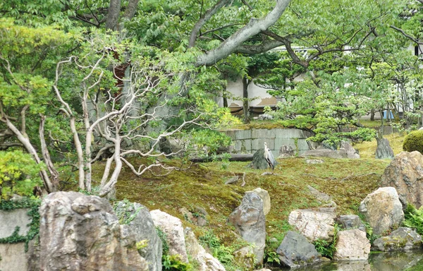 Японський парк — стокове фото