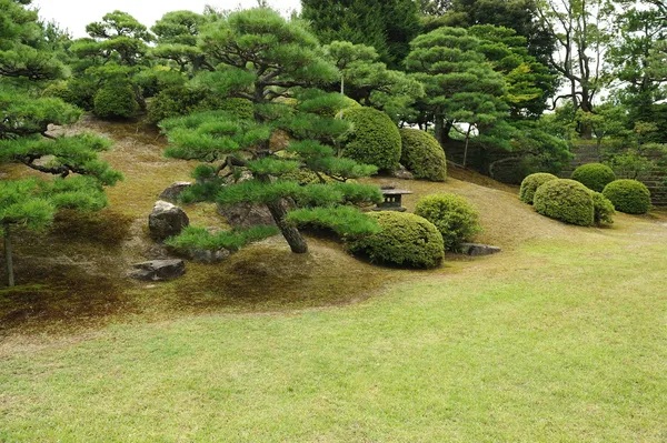 Japoński park — Zdjęcie stockowe