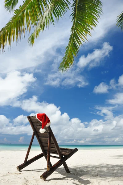 Navidad tropical — Foto de Stock
