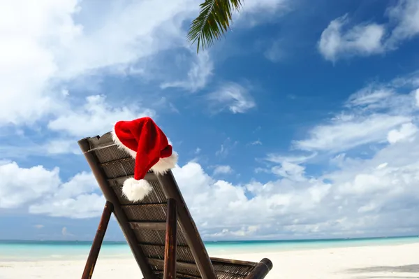 Tropické Vánoce — Stock fotografie