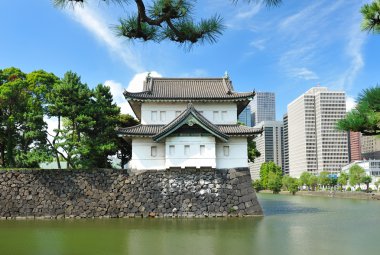 Imperial palace in Tokyo clipart