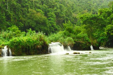 tropikal Nehri