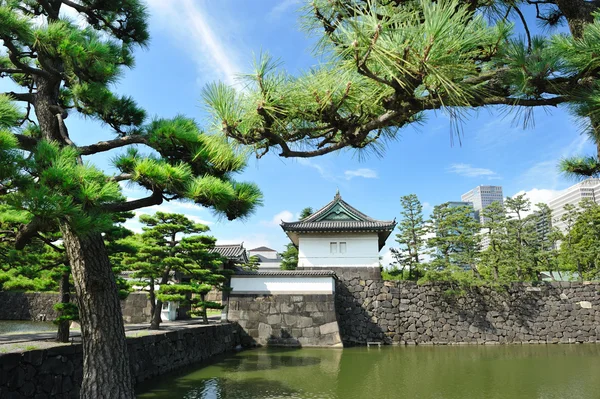 Pałac Cesarski Panoramę Tokyo Japonia — Zdjęcie stockowe