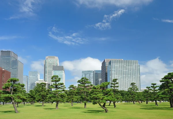 Panoramę Tokio — Zdjęcie stockowe