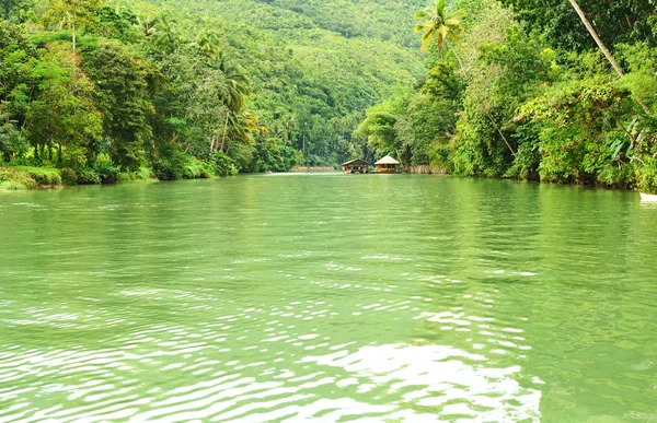 Tropical River Running Rainforest — Stock Photo, Image
