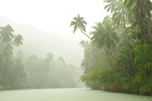 Тропічний дощ над річкою — стокове фото