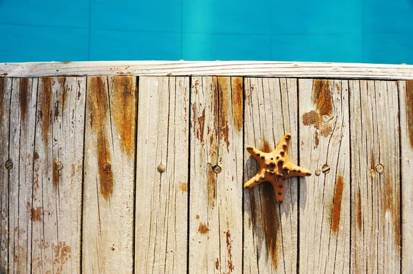 Estrella Mar Junto Una Piscina Madera — Foto de Stock