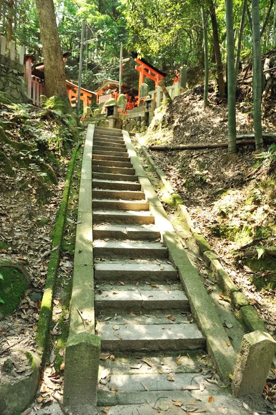 伏見稲荷神社 日本での木造鳥居 — ストック写真