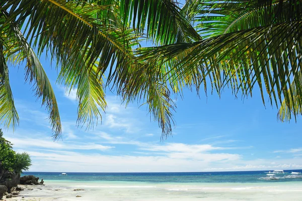 Piękne Alona Beach Panglao Filipiny — Zdjęcie stockowe