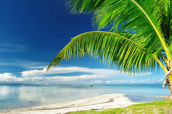 Красиві Дикому Пляжі Віддаленому Острові Філіппіни — стокове фото