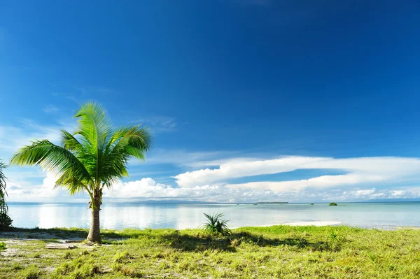 Nádherná Divoká Pláž Vzdálený Ostrov Filipíny — Stock fotografie