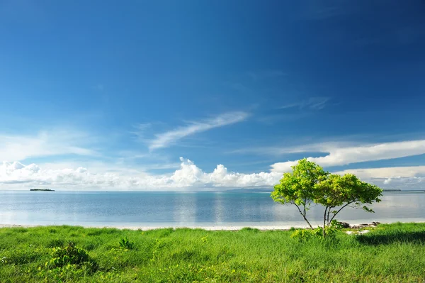 ชายหาดที่สวยงาม — ภาพถ่ายสต็อก