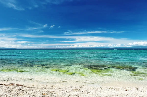 Praia Bonita Ilha Balicasag Filipinas — Fotografia de Stock