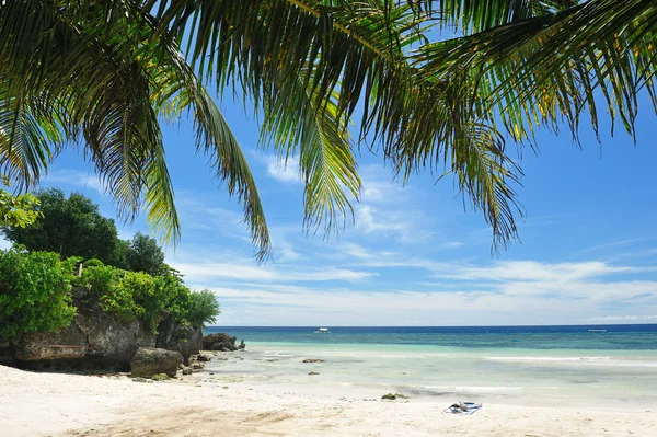菲律宾美丽的阿罗娜海滩 — 图库照片