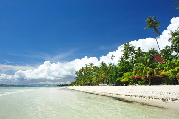 Όμορφη Άλωνα Παραλία Στο Panglao Φιλιππίνες — Φωτογραφία Αρχείου