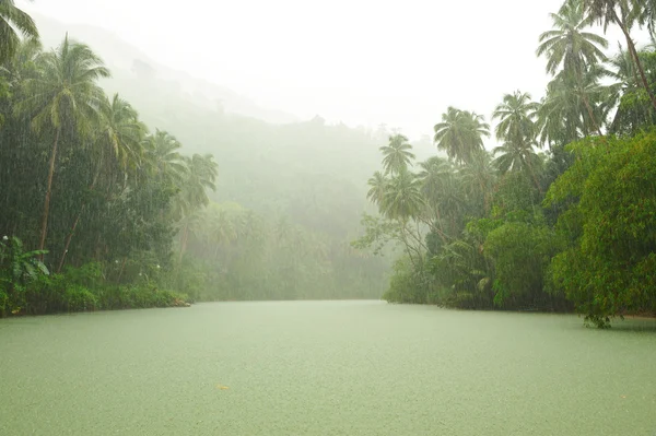 Trópusi Eső Futás Átmenő Rainforest Folyó Felett — Stock Fotó