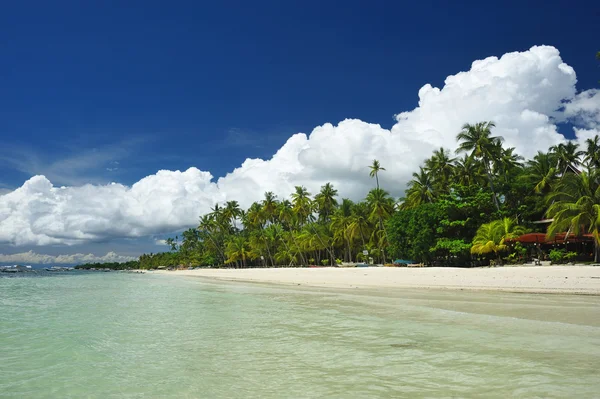 Όμορφη Άλωνα Παραλία Στο Panglao Φιλιππίνες — Φωτογραφία Αρχείου