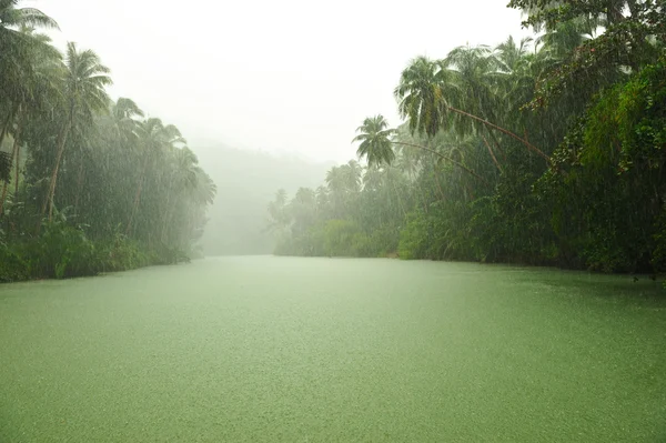 Τροπική Βροχή Πάνω Από Τον Ποταμό Που Διασχίζει Τροπικό Δάσος — Φωτογραφία Αρχείου