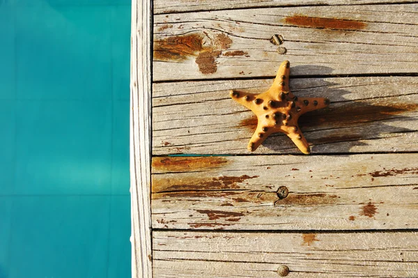 Estrella de mar junto a una piscina — Foto de Stock