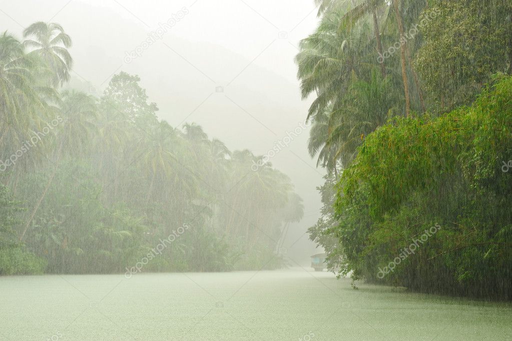 Tropical rain above river