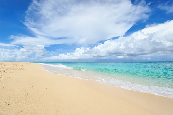 아름 다운 해변 — 스톡 사진