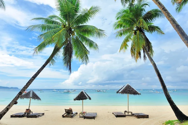 Piękna plaża z palmami — Zdjęcie stockowe