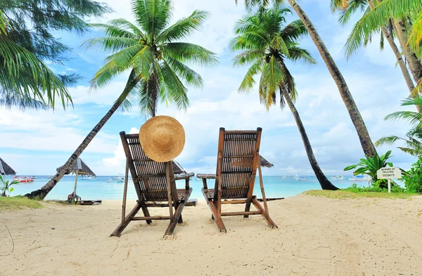 Palmiye ağaçları olan güzel bir sahil — Stok fotoğraf