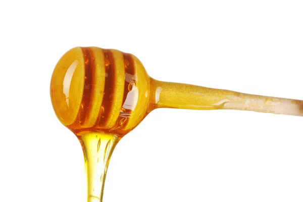 Osa y miel —  Fotos de Stock