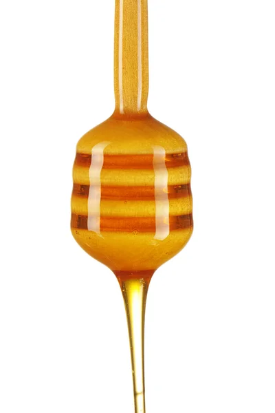 Osa y miel —  Fotos de Stock