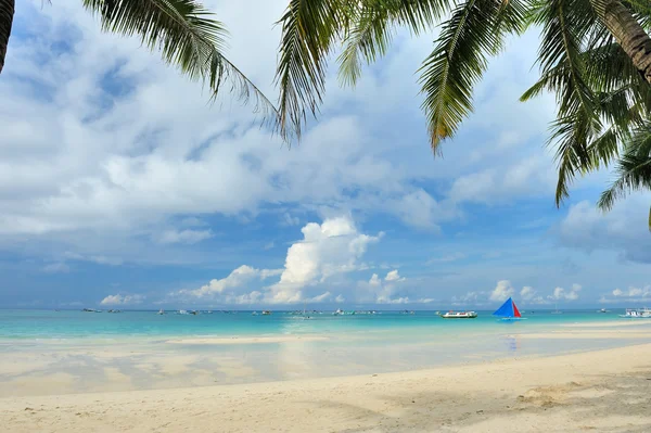 Красивый пляж с пальмами — стоковое фото