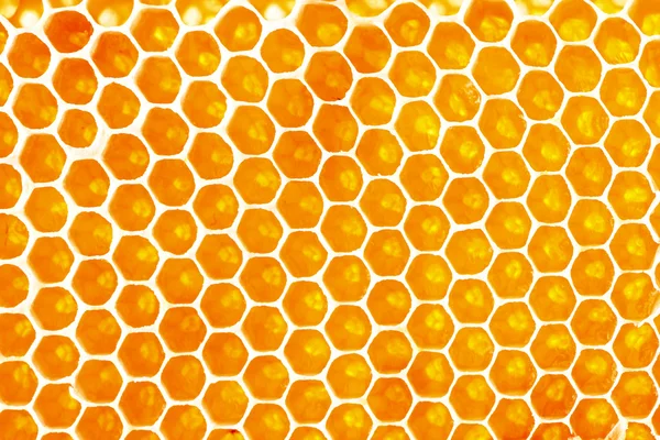 Honeycomb background — Stock Photo, Image