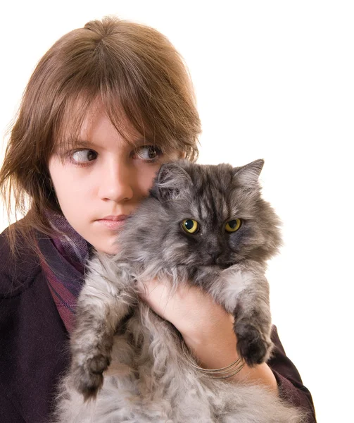 Retrato Hermosa Adolescente Con Gato Persa Sobre Fondo Blanco — Foto de Stock