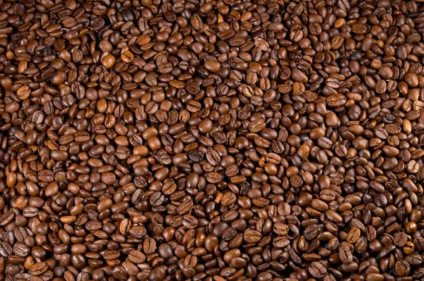 Kaffebönor Bakgrund — Stockfoto