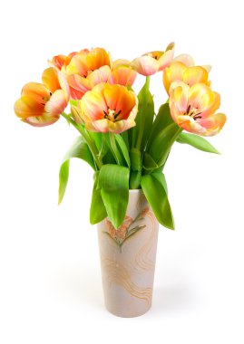 Colourful tulips clipart