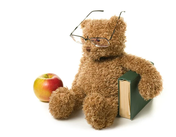 Розумний ведмідь Тедді — стокове фото