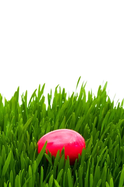Concepto de Pascua - huevos coloridos en vidrio verde —  Fotos de Stock