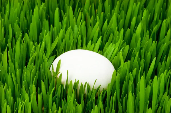 Påskkoncept - färgglada ägg i grönt glas — Stockfoto