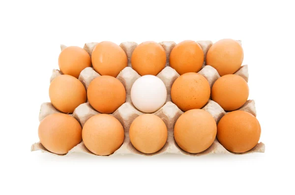 Stå ut från mängden koncept med ägg på vitt — Stockfoto