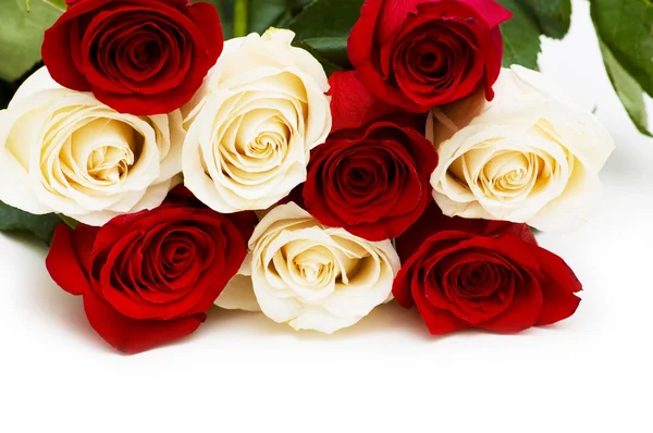 Rote und weiße Rosen isoliert auf weißen — Stockfoto
