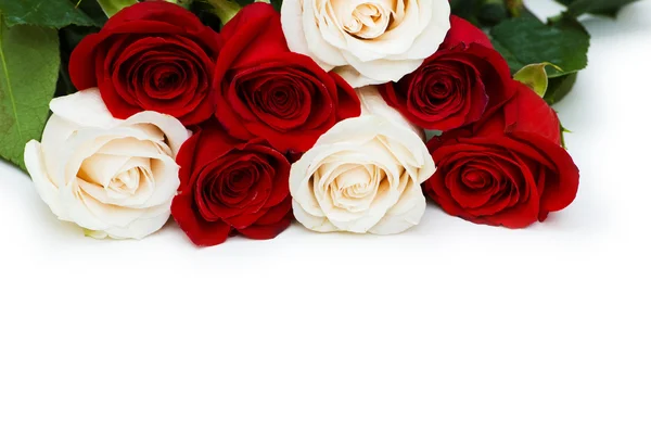 Rode en witte rozen geïsoleerd op wit — Stockfoto