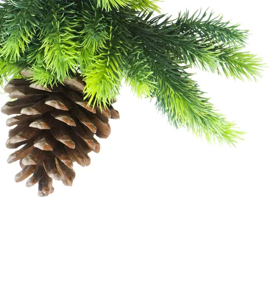 Cone e árvore de Natal isolado em branco — Fotografia de Stock