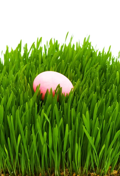 Velikonoční koncept - barevná vejce v zeleném skle — Stock fotografie
