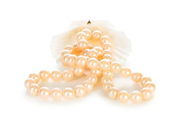 Pearl necklace isolated on the white background — Stock Photo, Image